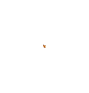 道
